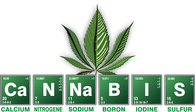 Jak dlouho trvá “high” z marihuany?